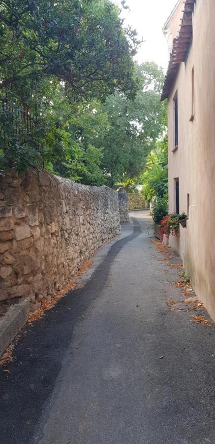 Jolie maison de ville La Petite Magnanerie La Roque-d'Antheron Extérieur photo